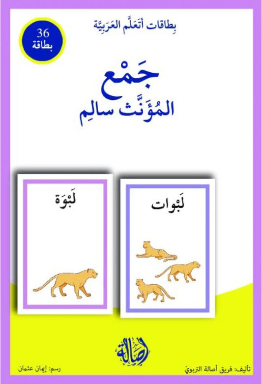 جمع المؤنث السالم - سلسلة بطاقات أتعلم العربية (٣٦ بطاقة) + علبة ورق مُقوّى