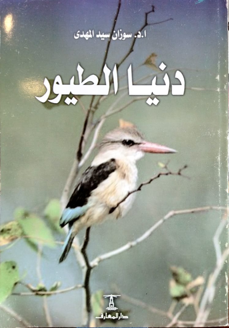 دنيا الطيور