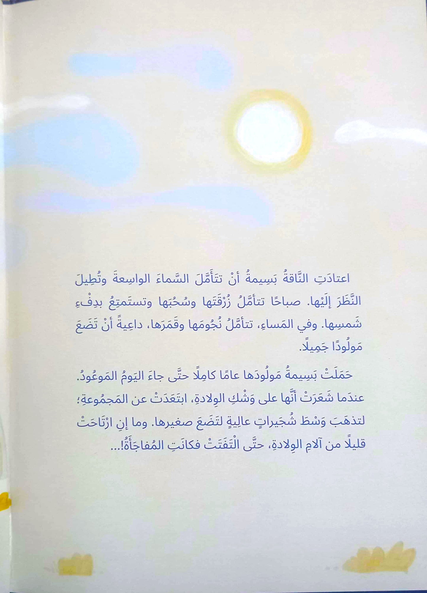 كميلو - غلاف مقوى