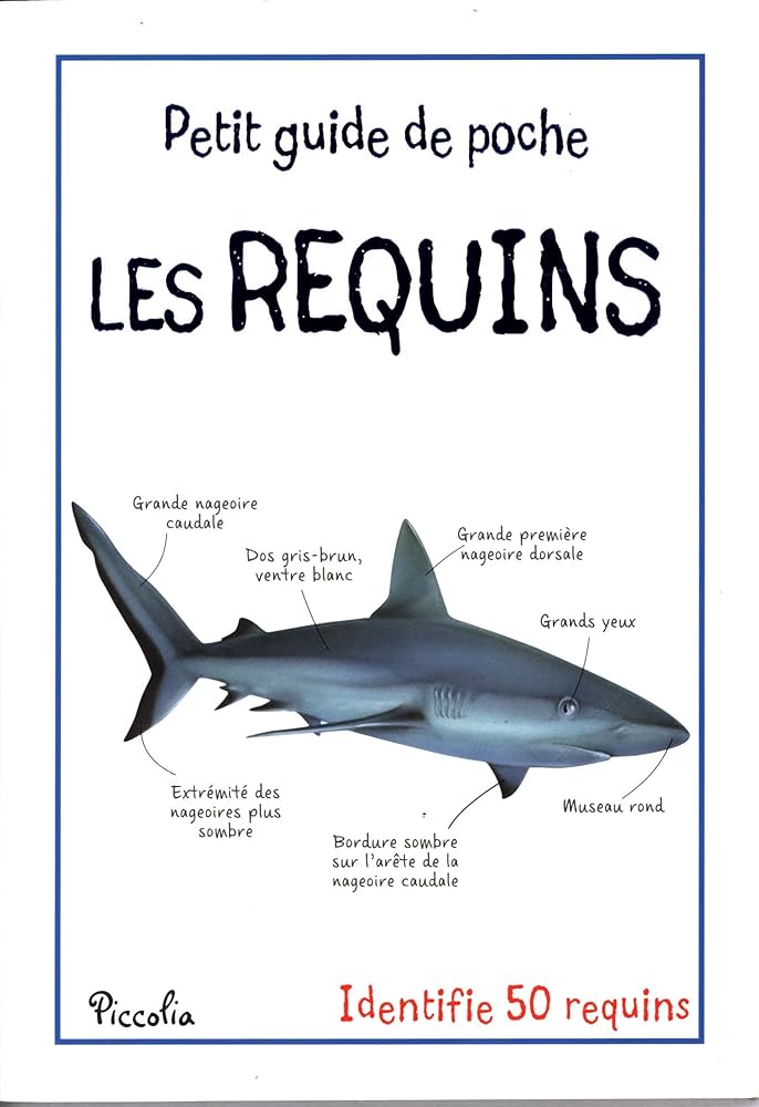 Les Requins - Les Petit Guide De Poche