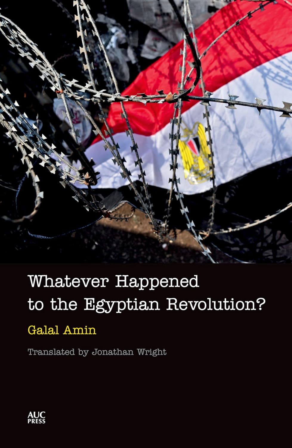Whatever Happened to the Egyptian Revolution? - Hardcover
