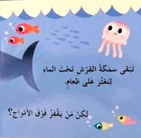 من يلعب على الشاطئ؟ - سلسلة أختبئ وأظهر - ورق مُقوّى