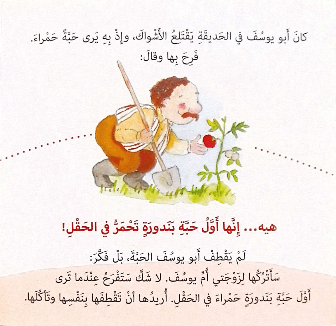 أشهى حبة بندورة