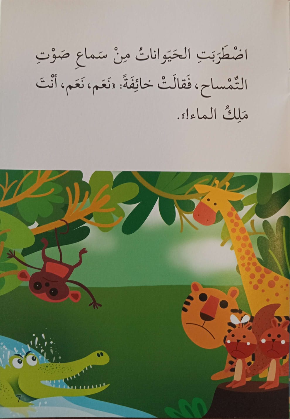 الغابة - المرحلة الثالثة - إصعد مع أصالة -متوسط