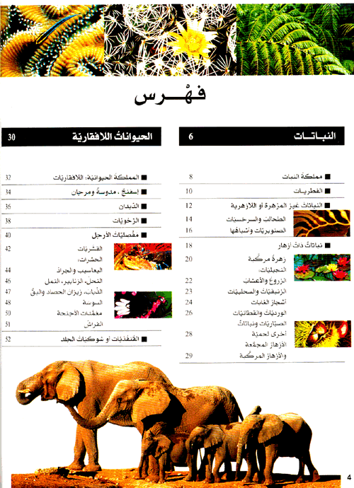 النبات والحيوان - سلسلة شبابنا - غلاف مقوى