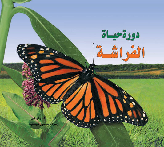 دورة حياة الفراشة - غلاف مُقوّى