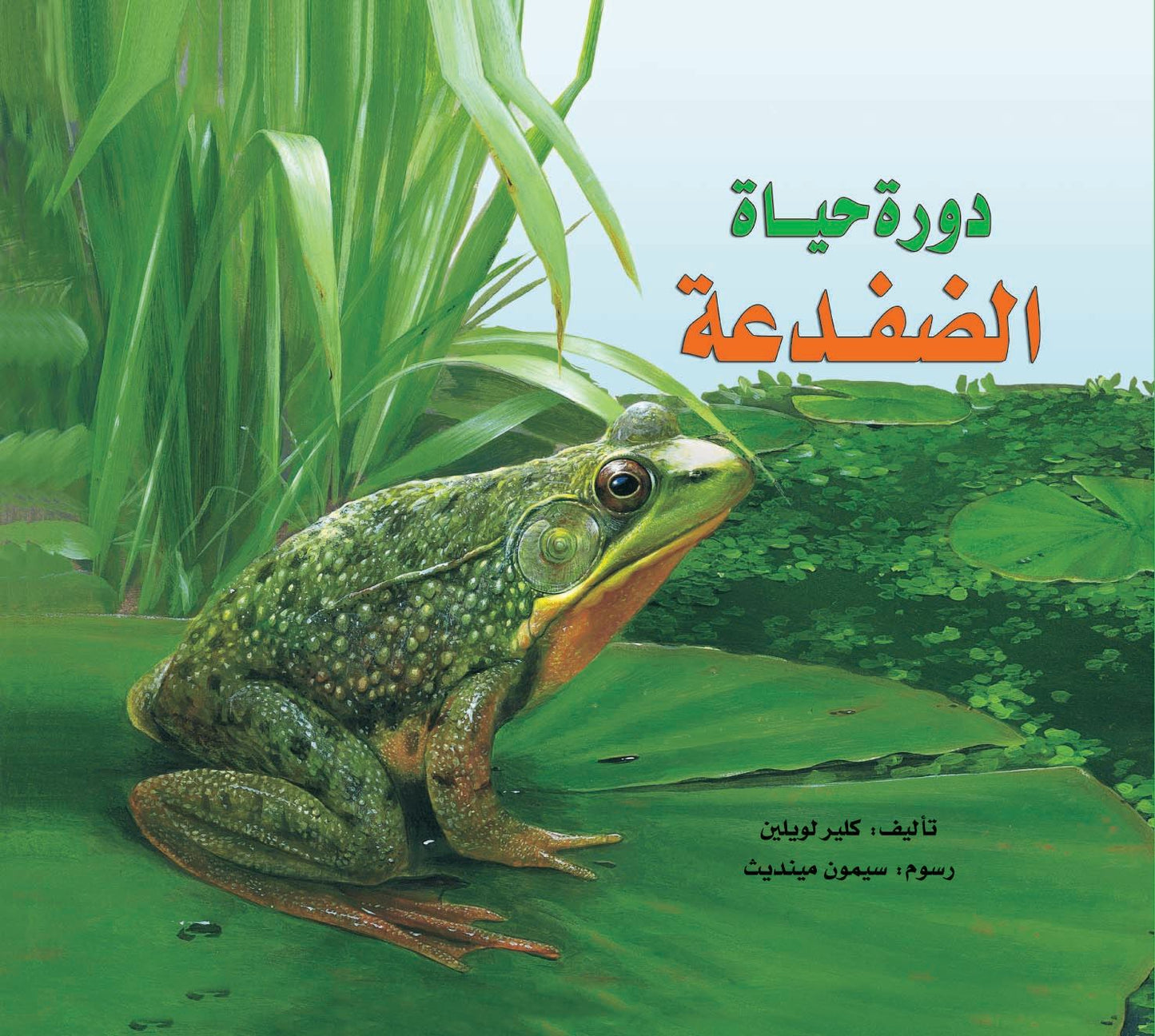 دورة حياة الضفدعة - غلاف مُقوّى