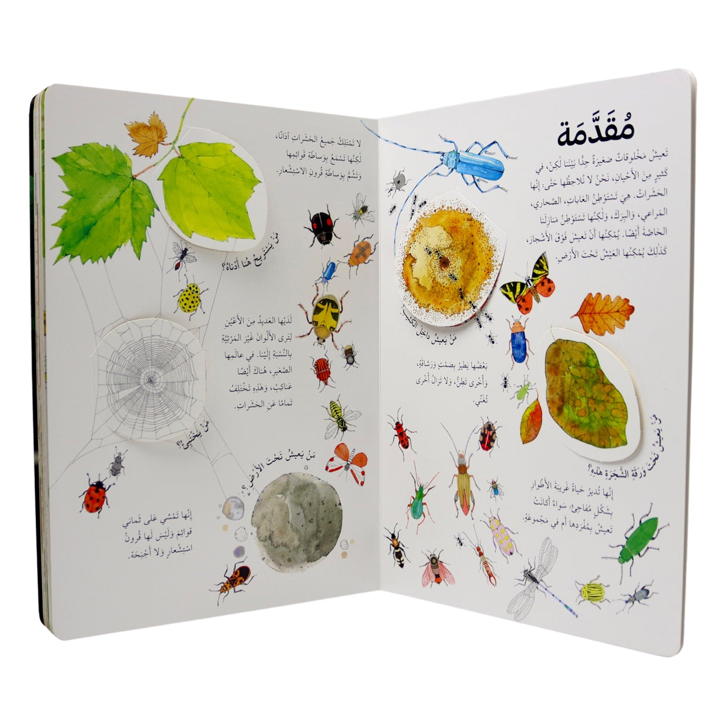 اكتشف عالم الحشرات - افتح النافذة واكتشف بأكثر من 50 طية داخل الكتاب - ورق مُقوّى