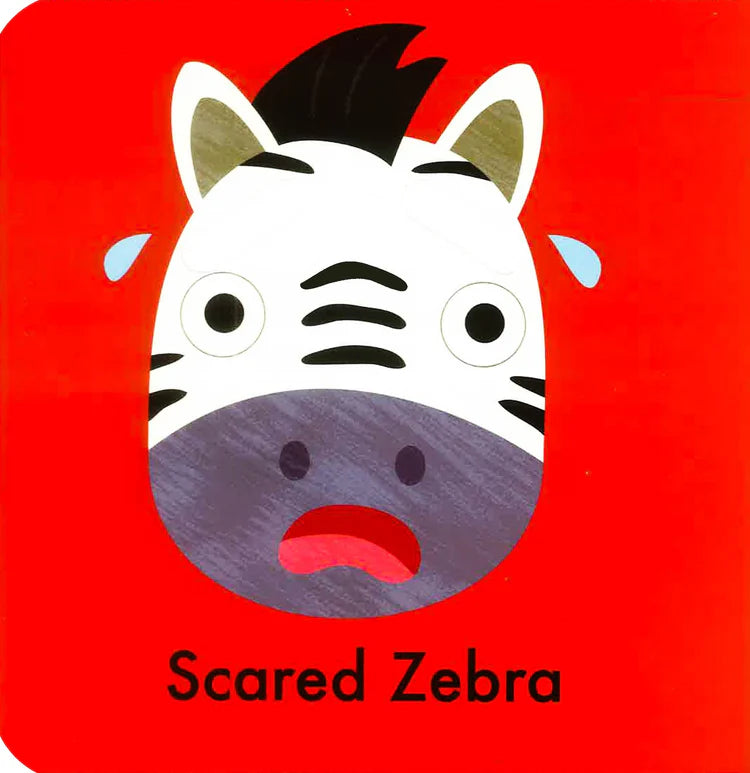 Follw Me Faces - Board book