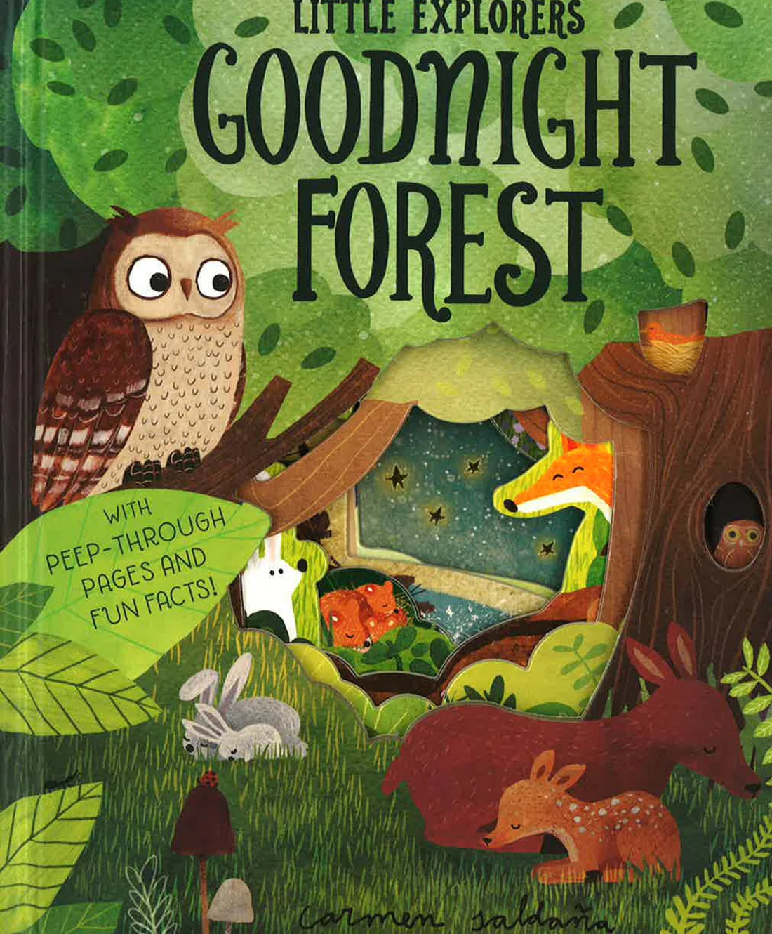 Little Explorers: Goodnight Forest - Board book – Al-Balsam Bookstore
