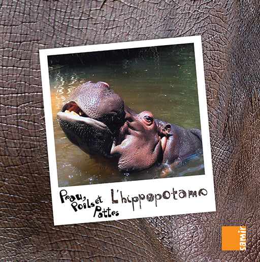 L'Hippopotame - Peau poils et Pattes -Cartonné