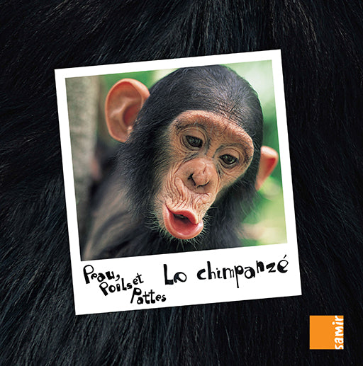 Le Chimpanze - Peau poils et Pattes -Cartonné