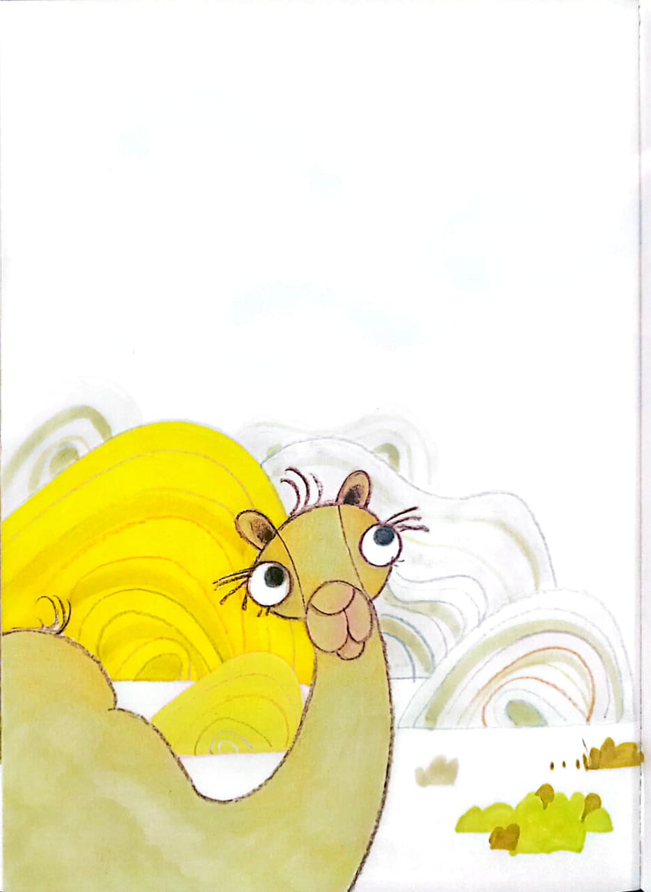 كميلو - غلاف مقوى