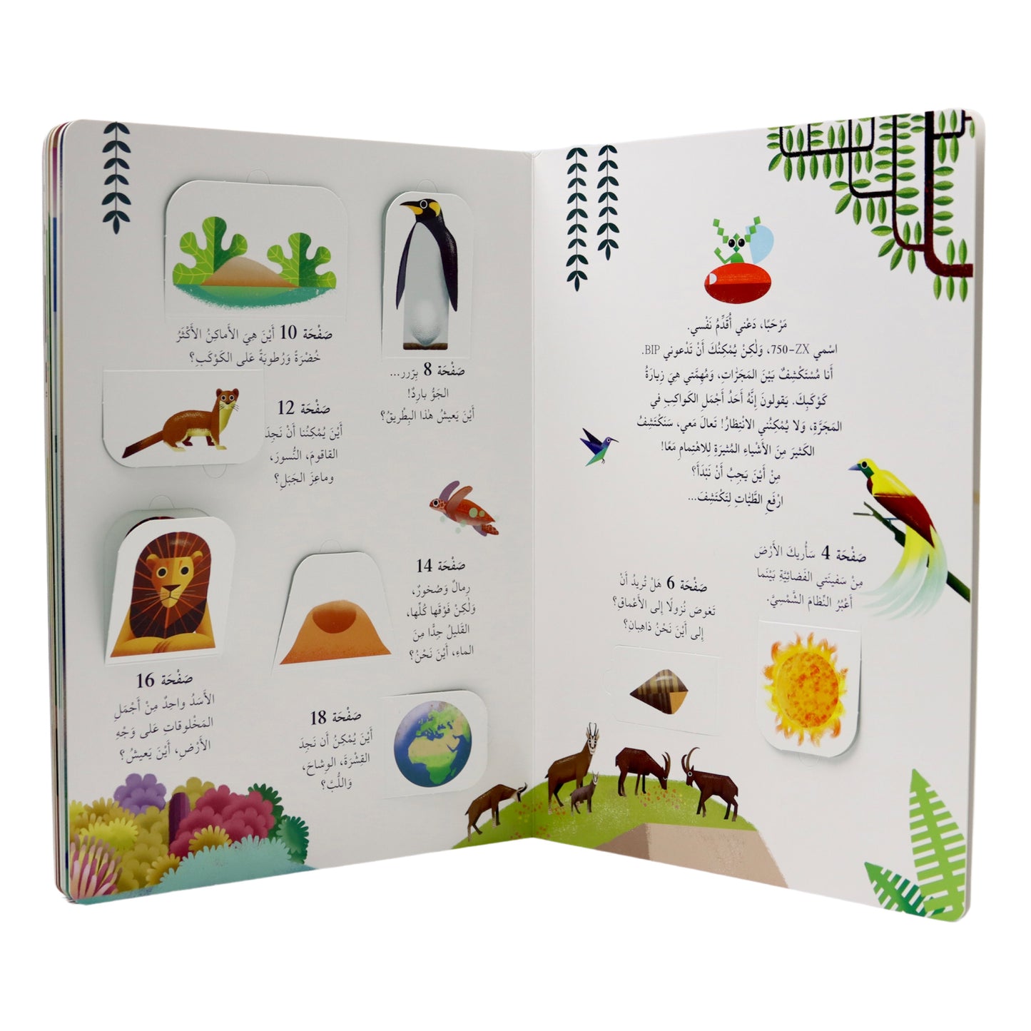 اكتشف الأرض - افتح النافذة واكتشف بأكثر من 60 طية داخل الكتاب - ورق مُقوّى