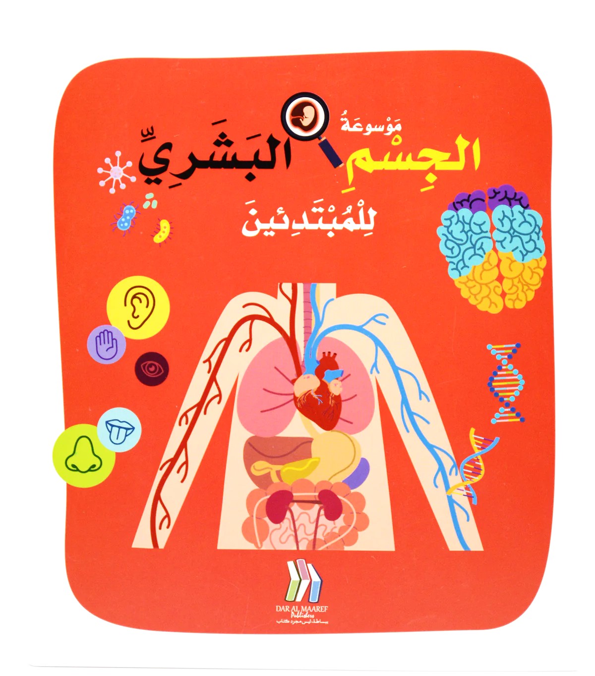 موسوعة الجسم البشري للمبتدئين