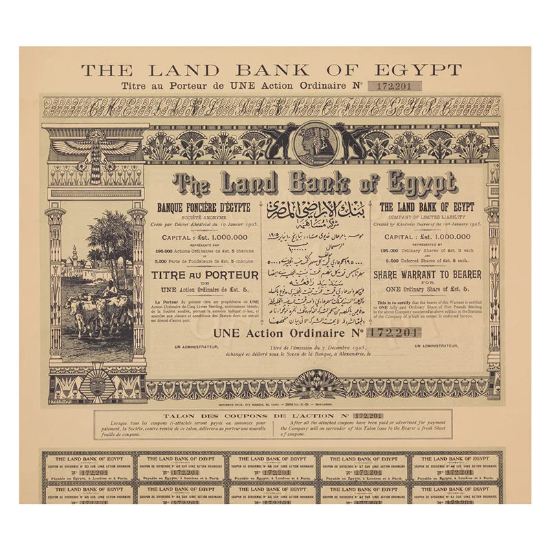 The Egyptian Bourse - Large Format Edition - Hardcover