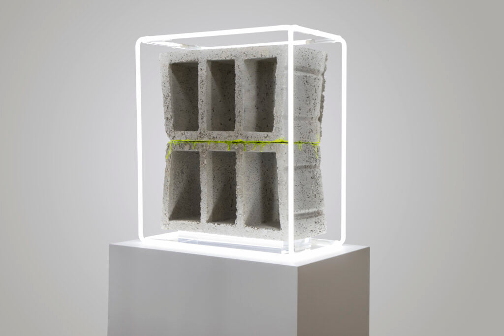 Rusted Radishes: Sea Change - Issue 8 مجلة بيروت الأدبية والفنية: تغير كالبحر - الإصدار الثامن