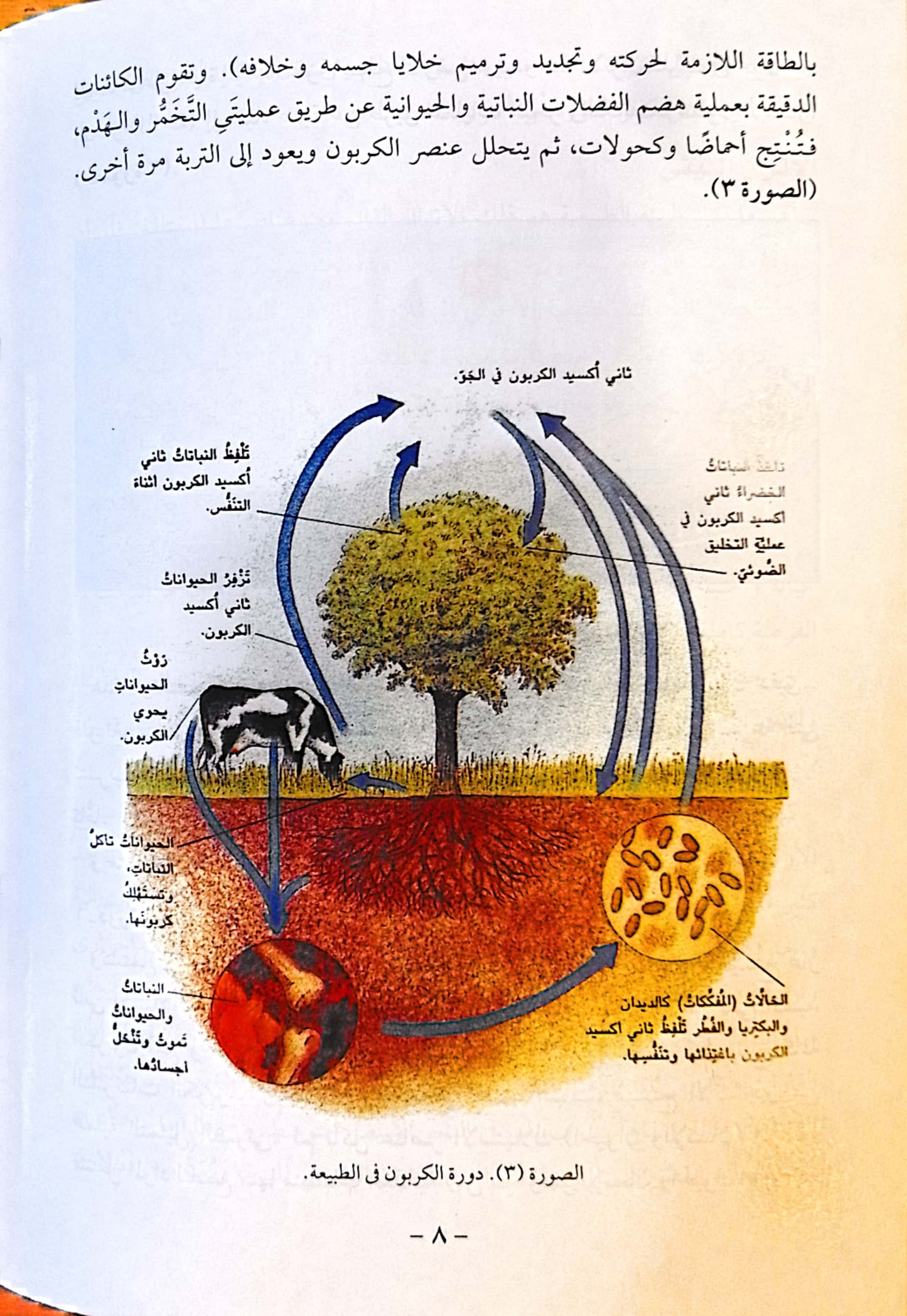 البيئة ومكوناتها - سلسلة الثقافة البيئية الميسرة