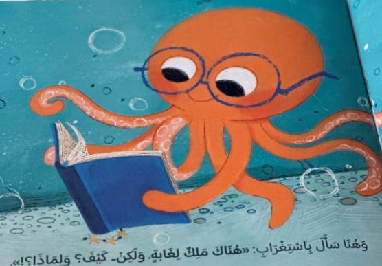 ميزو ملك المحيط