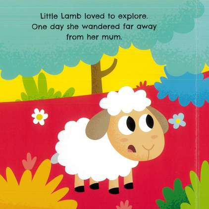 Little Lamb - Board book