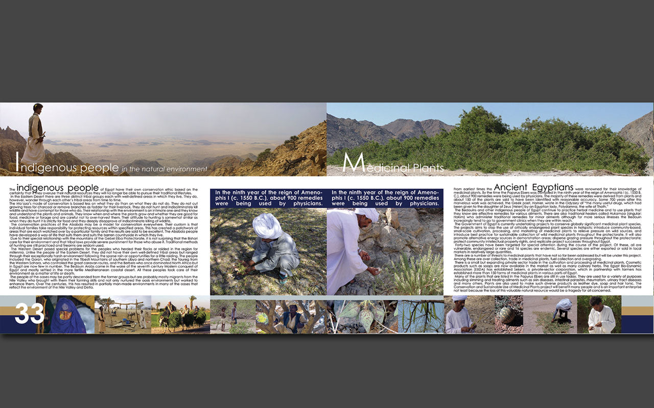 Egypt's Wilderness and the Quest for Conservation