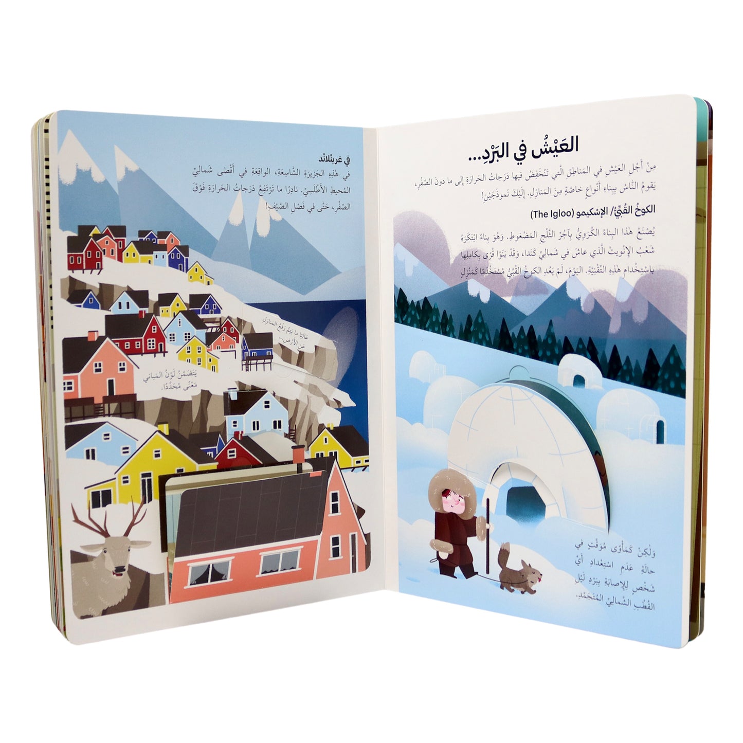 اكتشف المنازل حول العالم - افتح النافذة واكتشف بأكثر من 48 طية داخل الكتاب - ورق مُقوّى