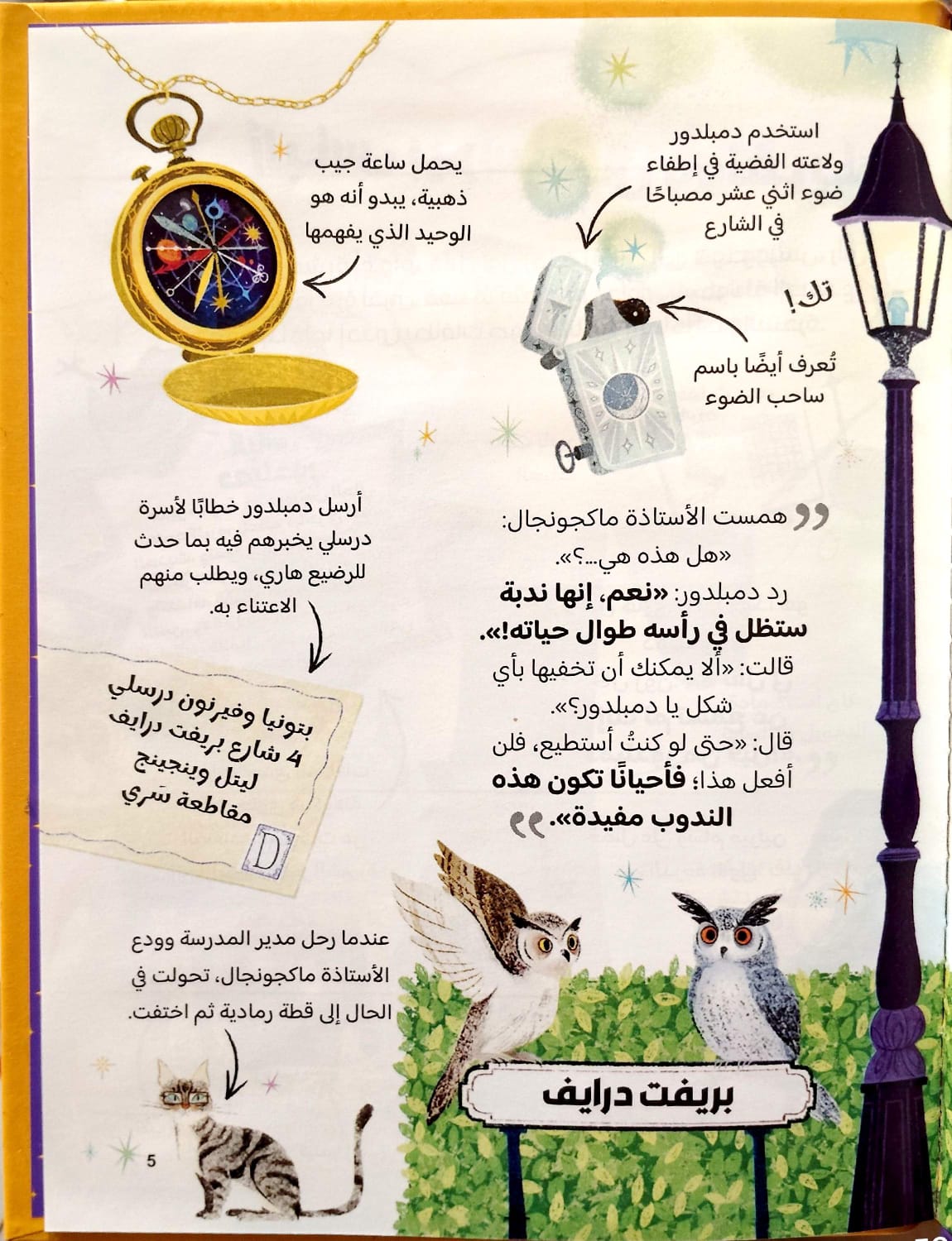 الأستاذ دمبلدور - الدليل السحري لقصص هاري بوتر  - سلسلة هاري بوتر للجيب