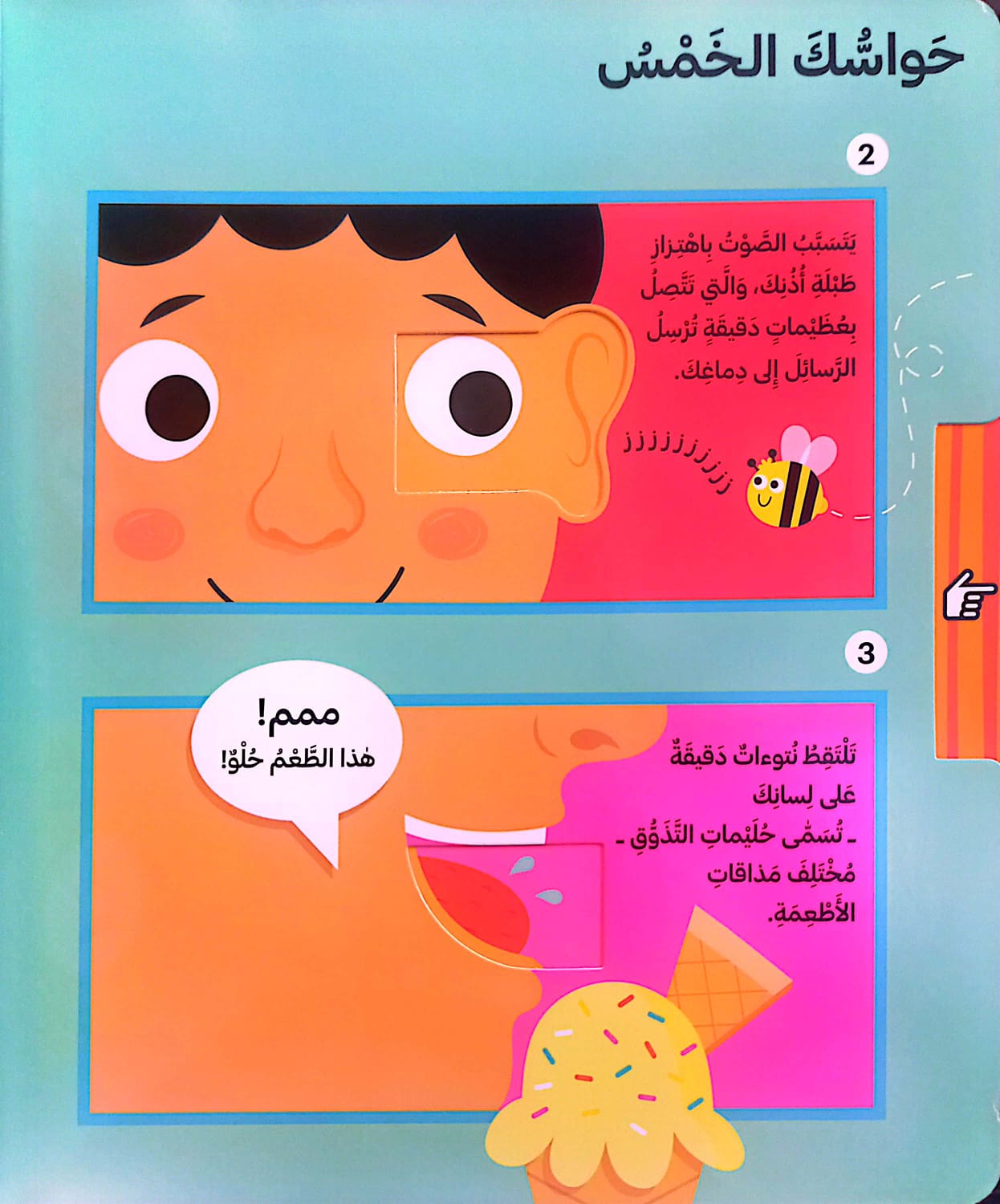 أطلس جسم الإنسان للصغار - ورق مُقوّى