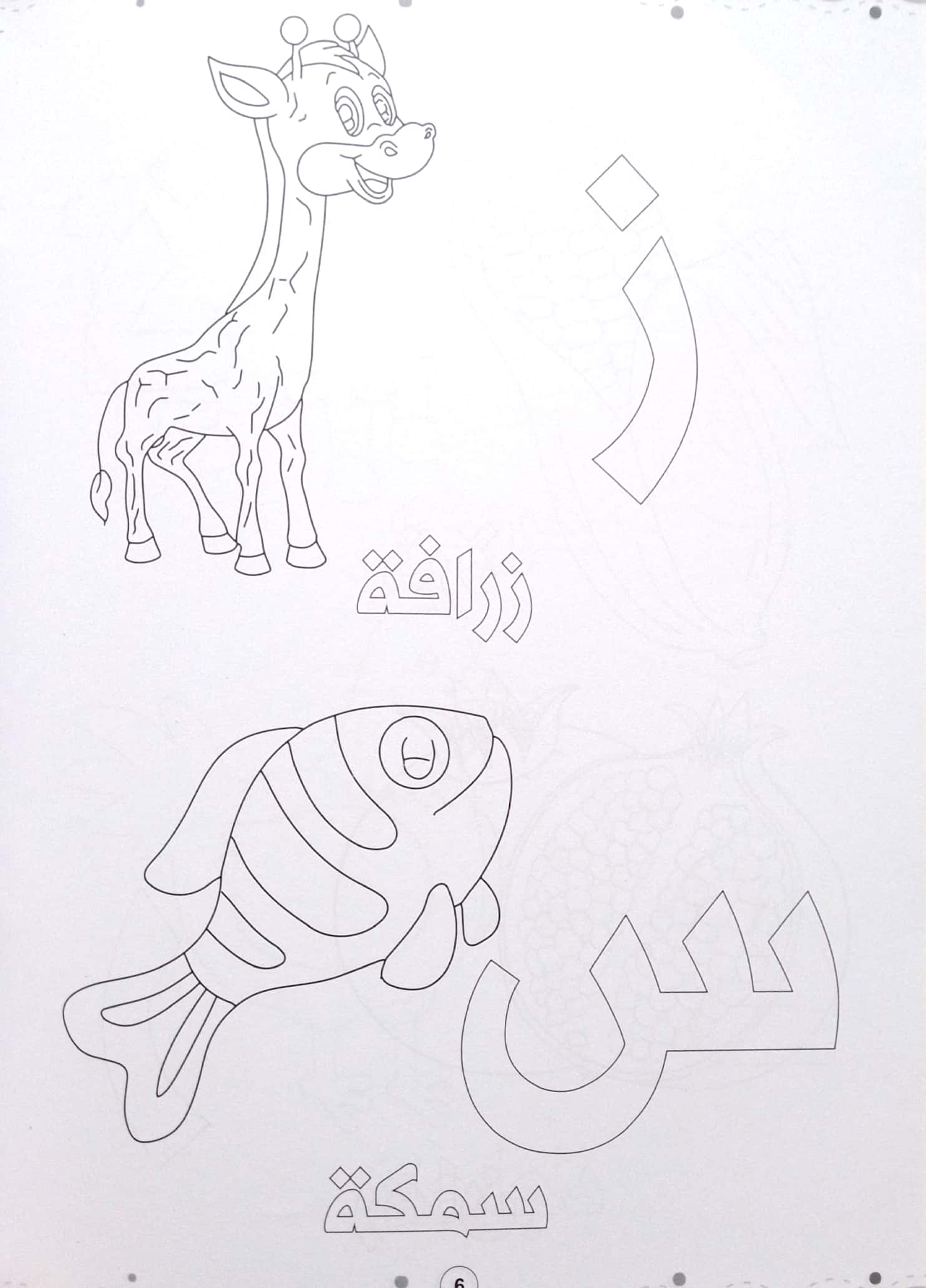 الحروف العربية - سلسلة لون وأتعلم – Al-Balsam Bookstore