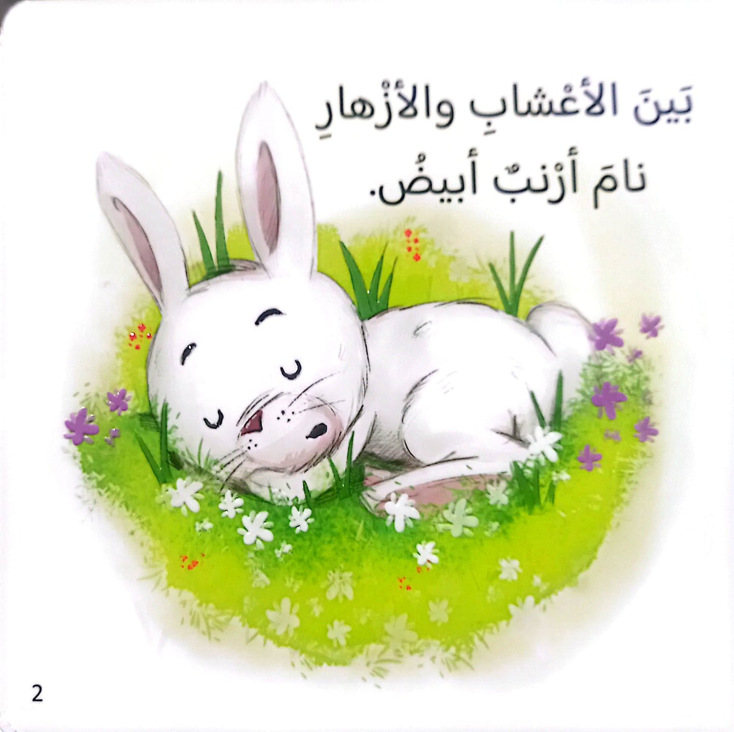 حان موعد النوم - سلسلة القراءة اللمس الإحساس - ورق مُقوّى