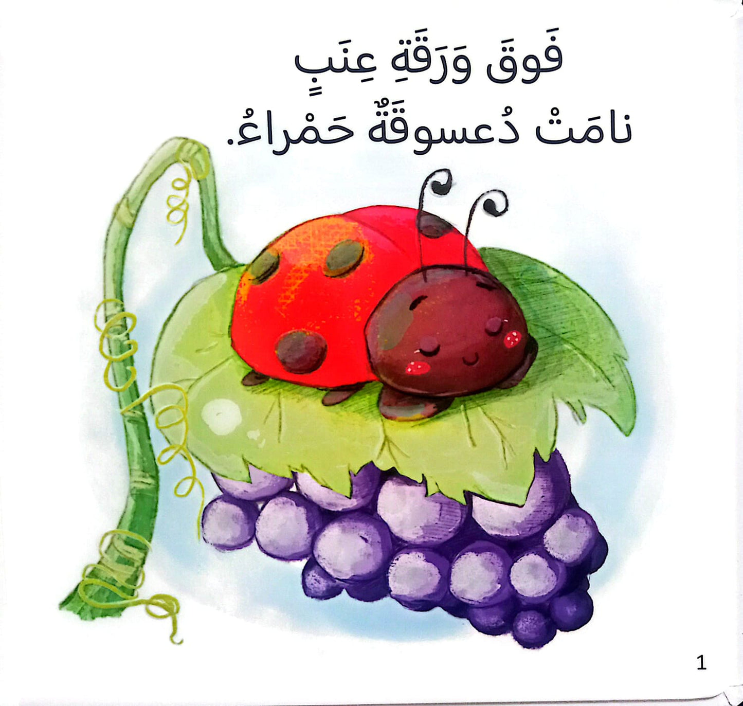 حان موعد النوم - سلسلة القراءة اللمس الإحساس - ورق مُقوّى