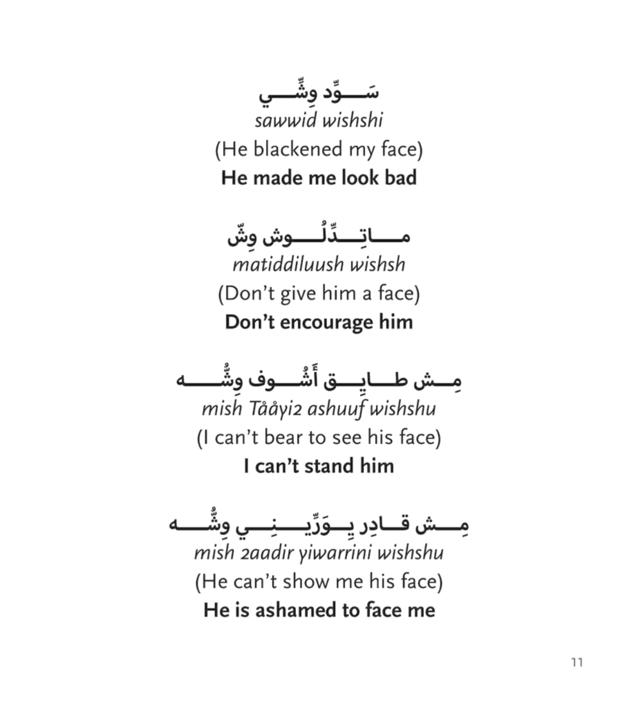 A Roving Eye: Head to Toe in Egyptian Arabic Expressions العين الزايغة - Hardcover