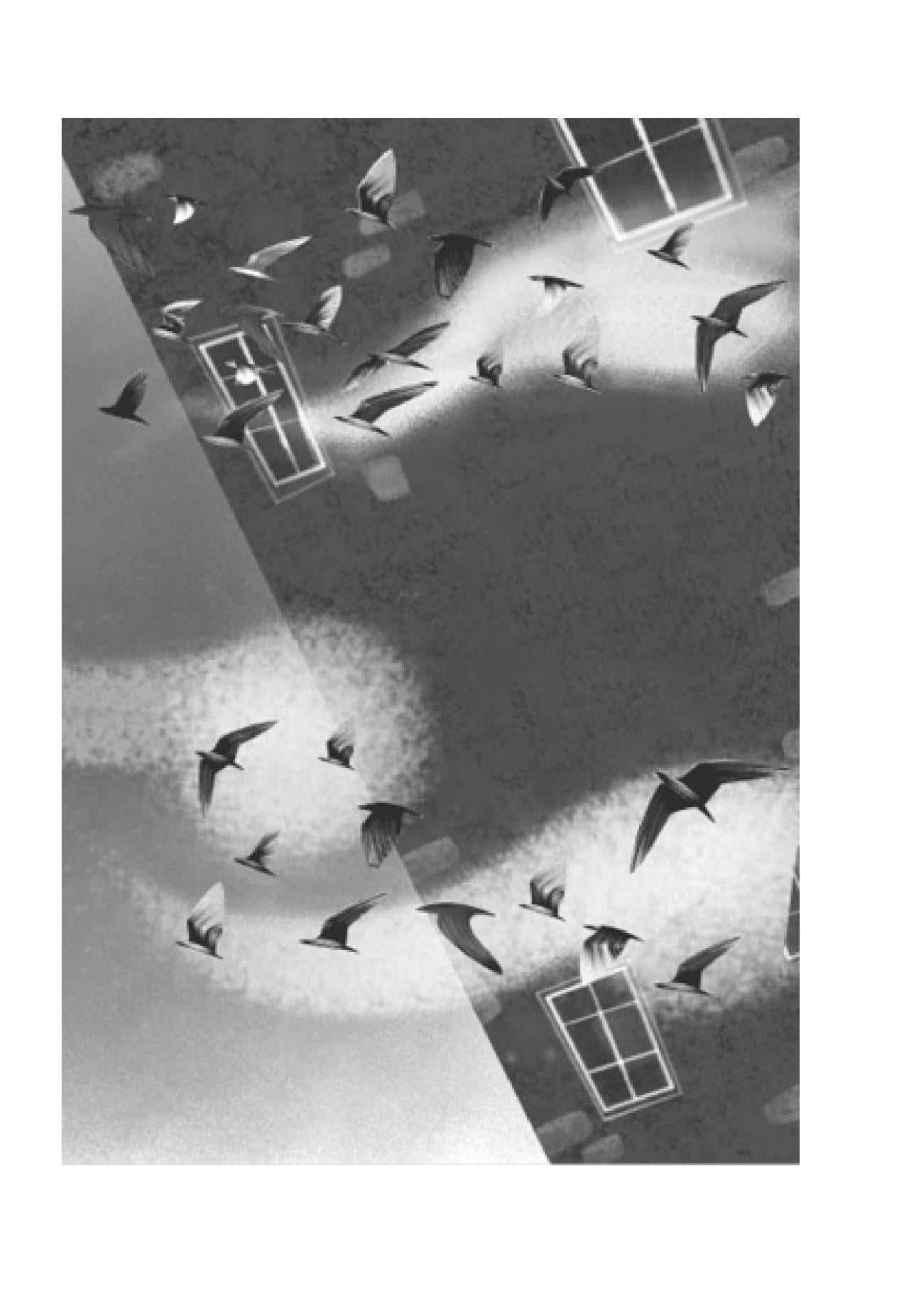 لماذا لا تزورنا العصافير؟