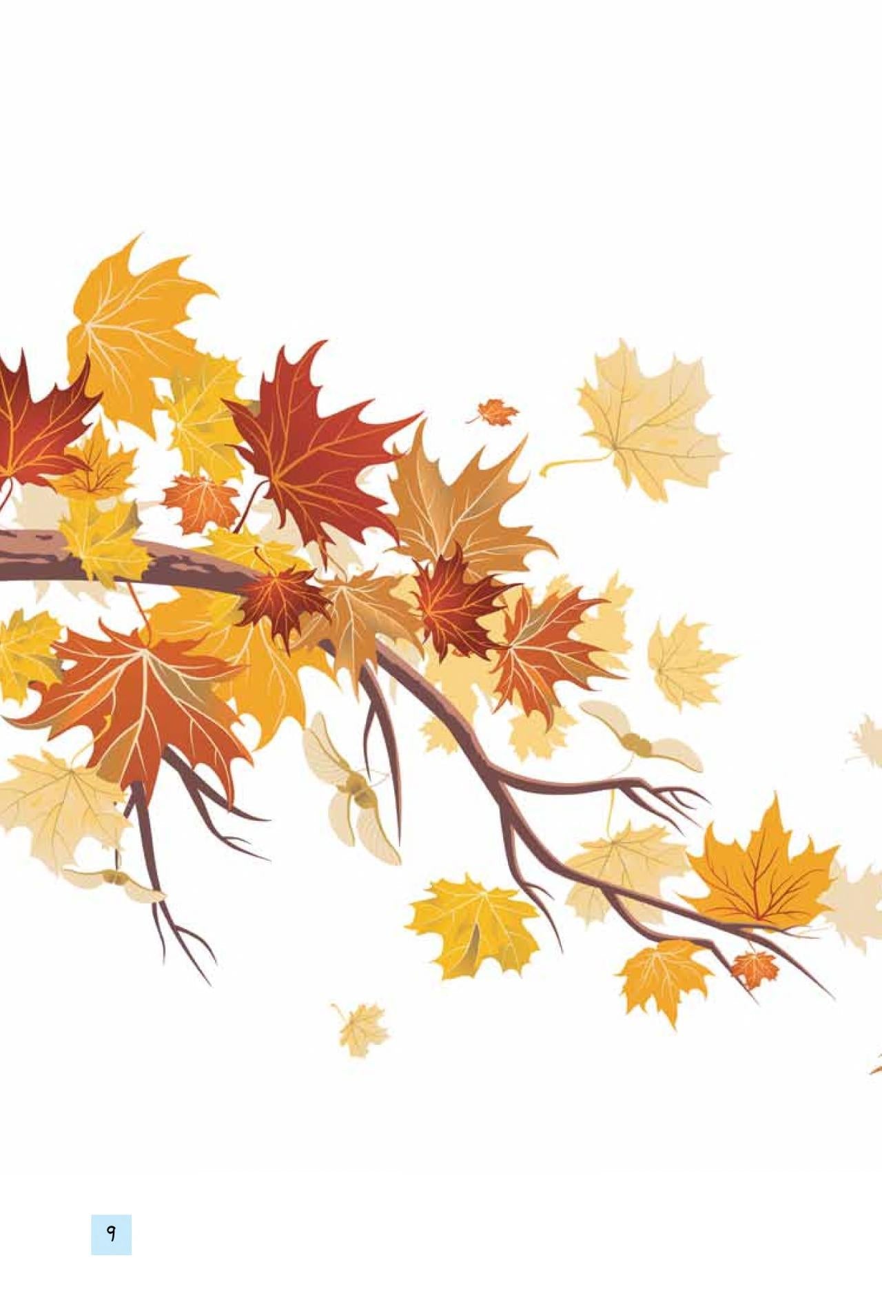 ثلاثون قصيدة للأطفال - غلاف مقوى