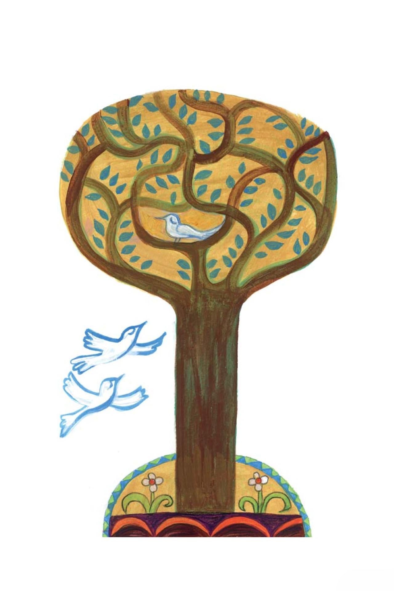 ولد بلا موهبة