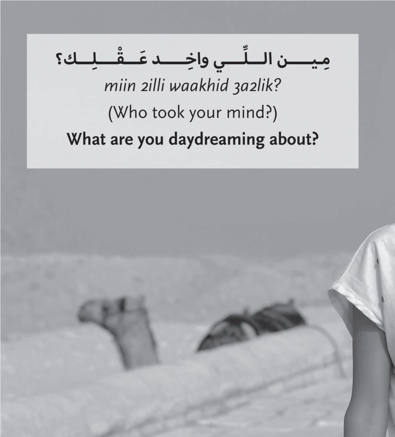 A Roving Eye: Head to Toe in Egyptian Arabic Expressions العين الزايغة - Hardcover