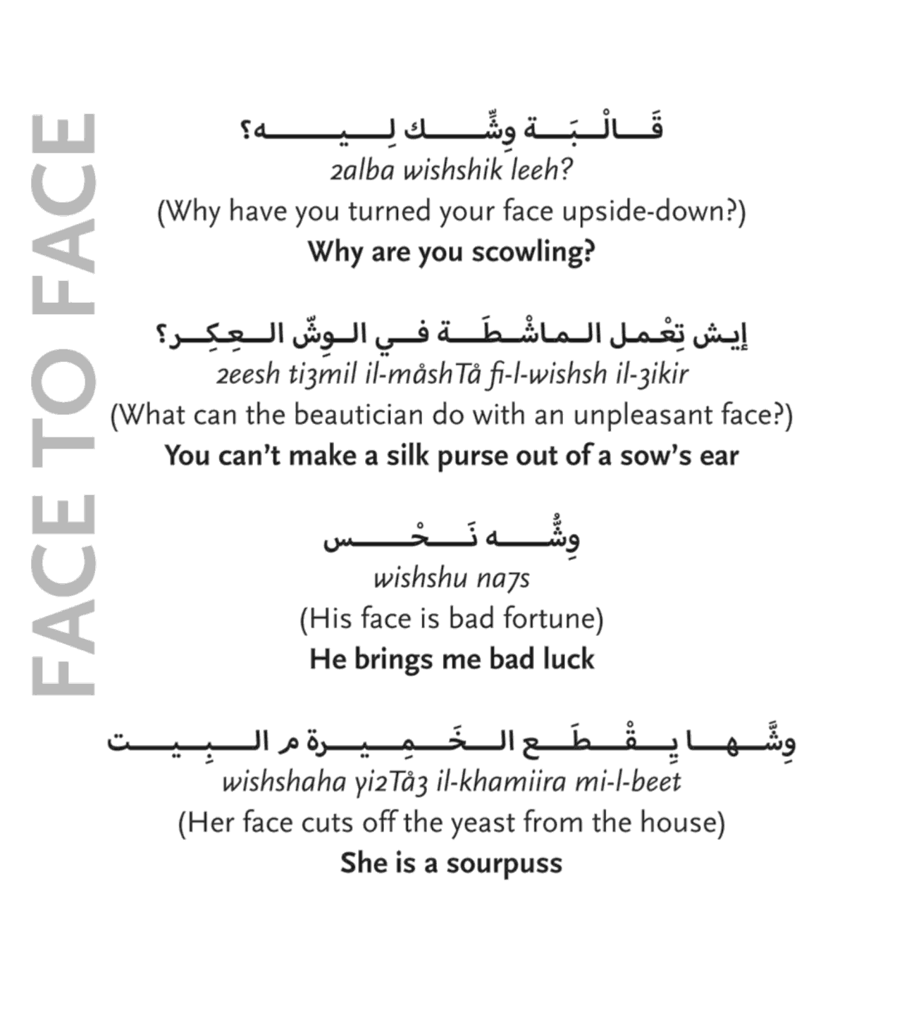 A Roving Eye: Head to Toe in Egyptian Arabic Expressions العين الزايغة - Hardcover