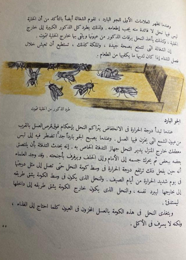 النحل - سلسلة كتابك الأول عن