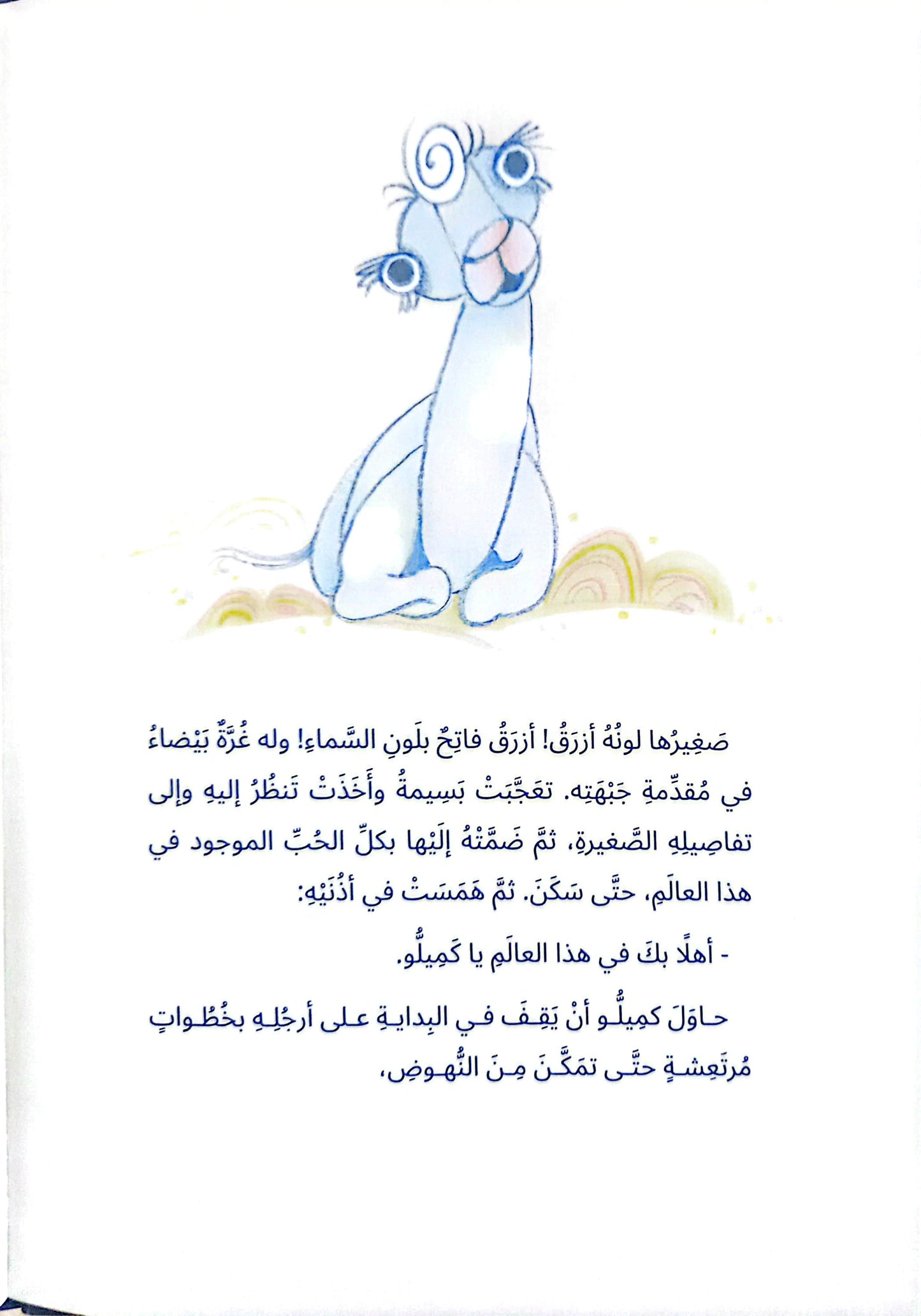 كميلو - غلاف مقوى