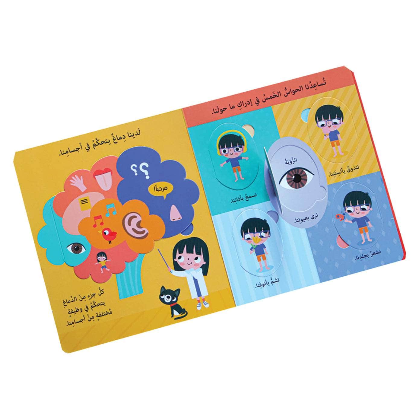 جسم الانسان - سلسلة  افتح النوافذ واكتشف - ورق مُقوّى