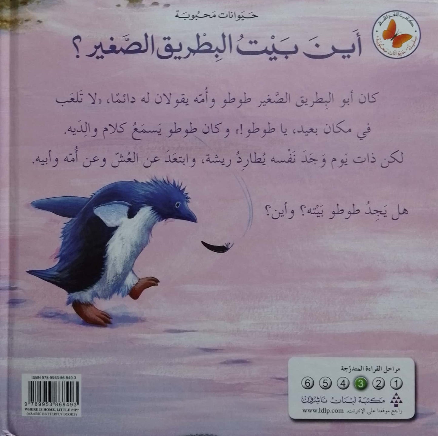 أين بيت البطريق الصغير؟ - سلسلة حيوانات محبوبة - غلاف مُقوّى