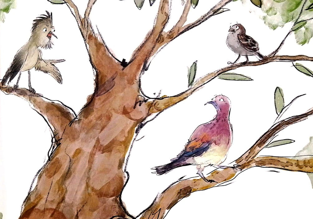 Water for Birds - Hard Cover