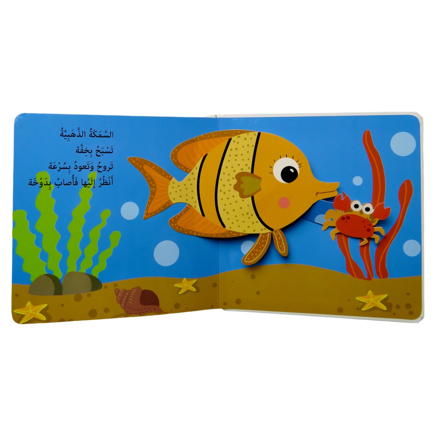 هيا بنا إلى المحيط - سلسلة هيا بنا - ورق مُقوّى