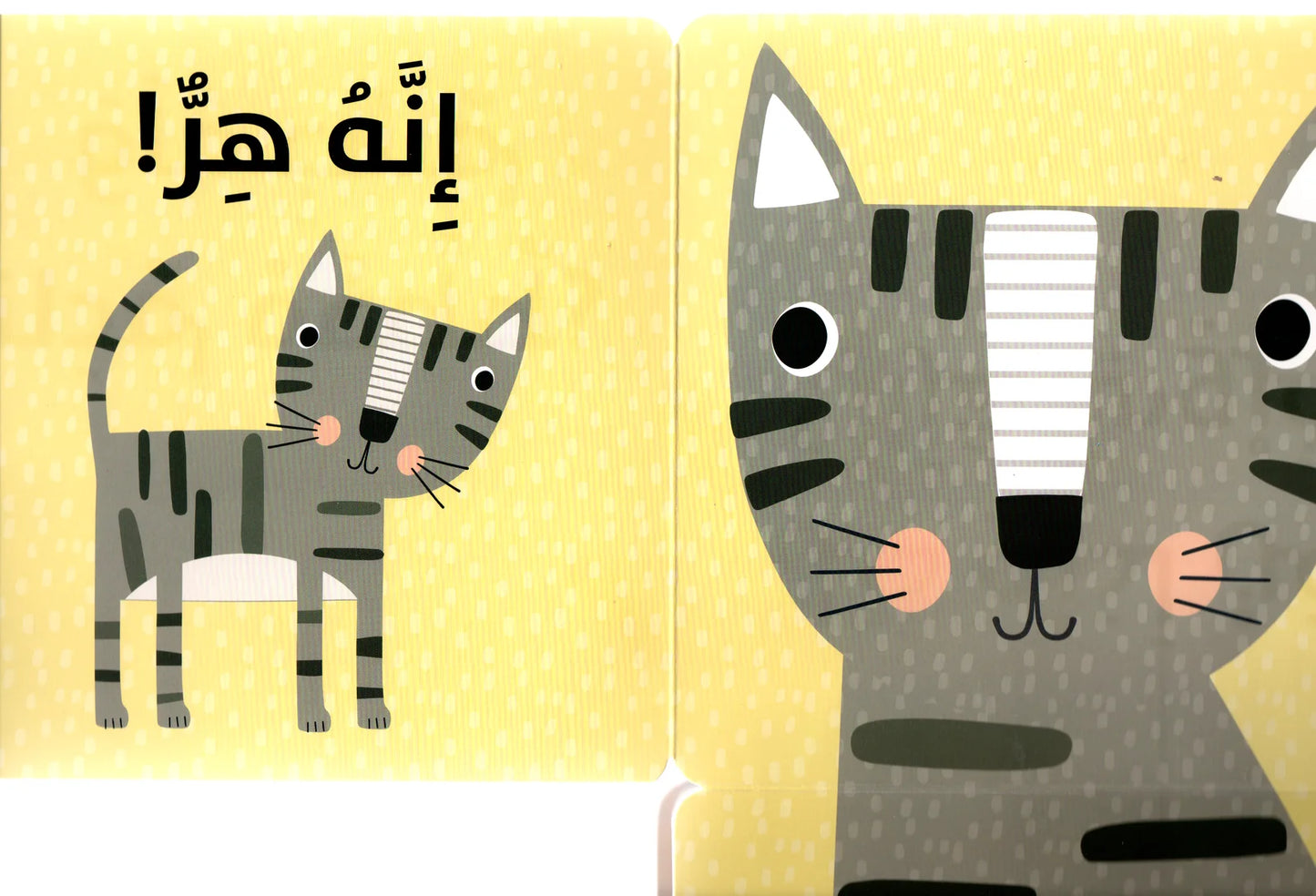 حيوانات أليفة مرحة  - سلسلة من أنا - ورق مُقوّى