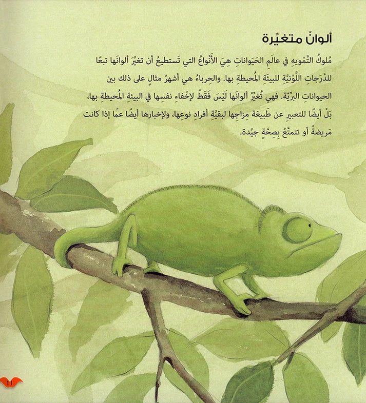سلسلة أحب أن أعرف - 4 كتب