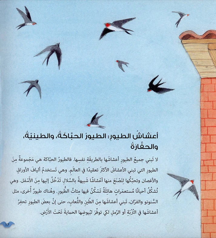 سلسلة أحب أن أعرف - 4 كتب