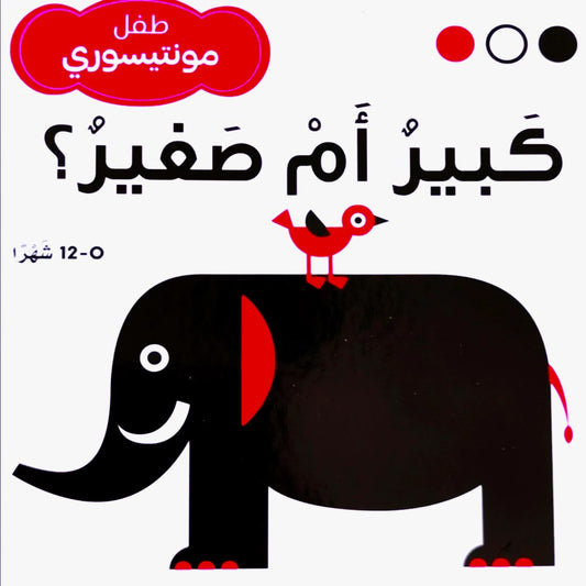 كبير أم صغير - طفل مونتيسوري - ورق مُقوّى